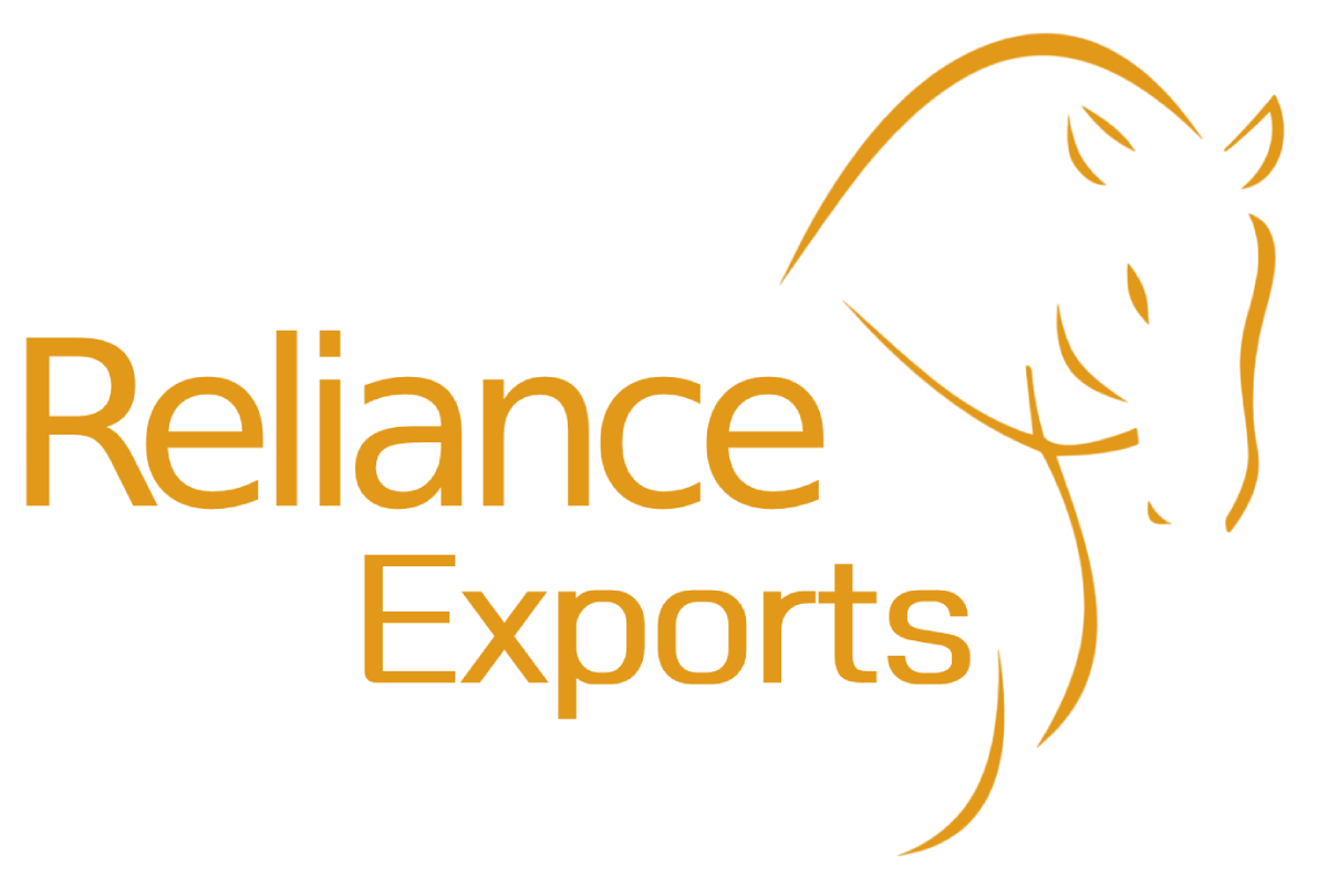 Reliance Exports Logo11 Reliance Exports Logo11