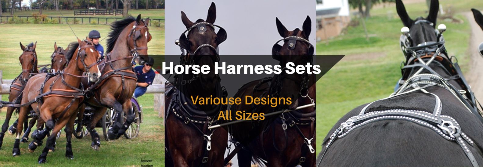 harness sets banner reliance harness sets banner reliance