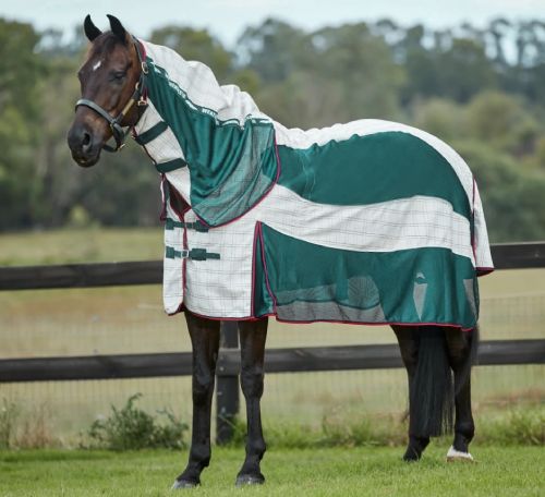 rugs sheets horse covers rugs sheets horse covers